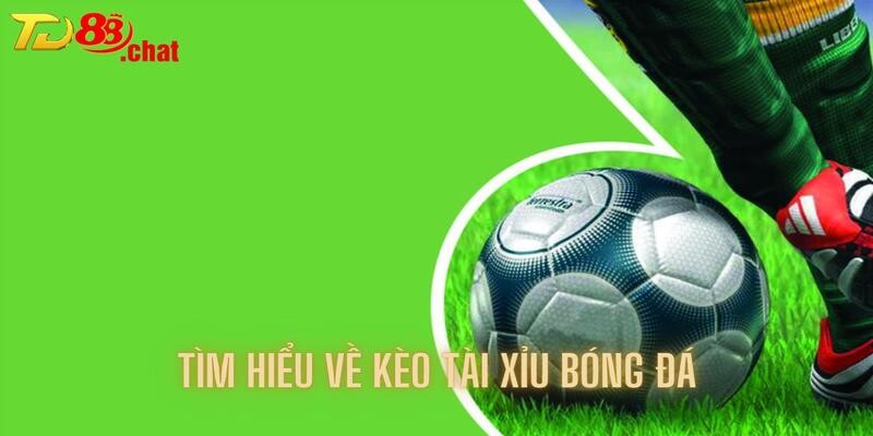 Tìm hiểu về kèo tài xỉu bóng đá cùng TD88