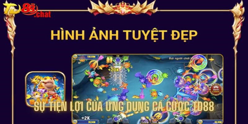 Tìm hiểu sự tiện lợi của ứng dụng cá cược TD88
