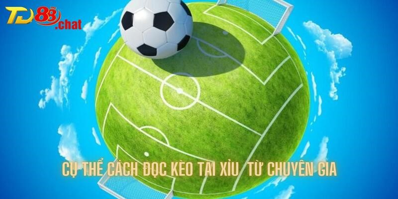 Cụ thể cách đọc kèo đúng từ chuyên gia trong cá cược