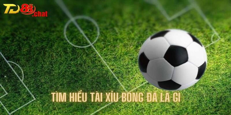 Tìm hiểu tài xỉu bóng đá là gì cho người mới cùng TD88